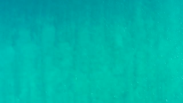 SAN JOSE DEL CABO BCS MEXICO-2020: Underwater Ocean Floor with Drifting Particles