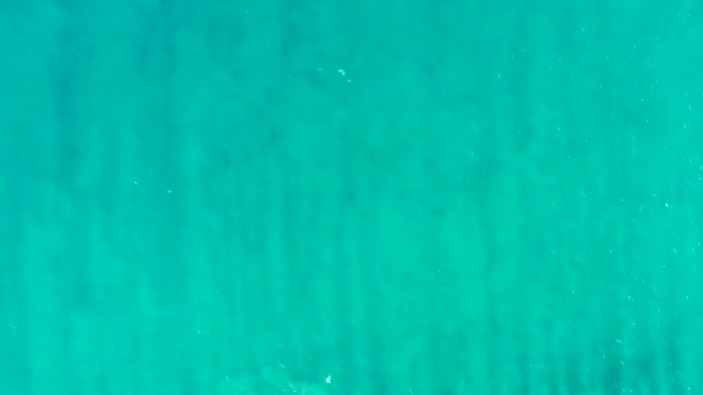 SAN JOSE DEL CABO BCS MEXICO-2020: Clear Turquoise Water Revealing Underwater Vegetation