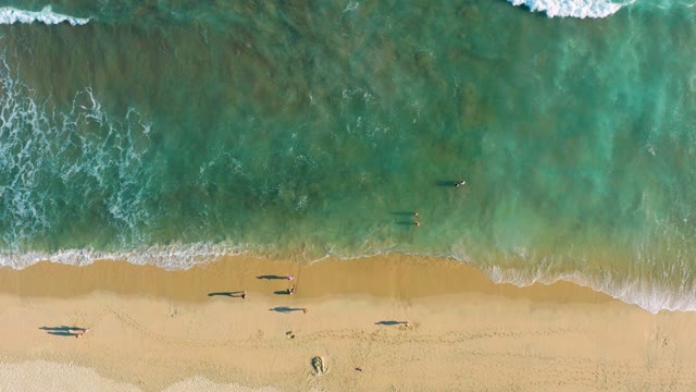 SAN JOSE DEL CABO BCS MEXICO-2020: Surfers and Beachgoers on a Sandy Shore