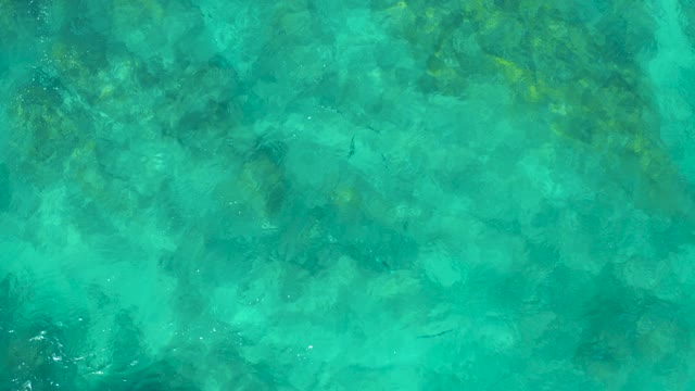 EAST CAPE BCS MEXICO-2020: Clear Turquoise Water with Small Fish and Rocky Seabed
