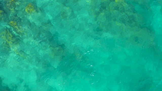 EAST CAPE BCS MEXICO-2020: Clear Turquoise Water with Visible Seabed