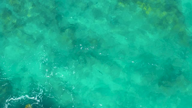 EAST CAPE BCS MEXICO-2020: Clear Turquoise Water Over Rocky Seabed with Fish