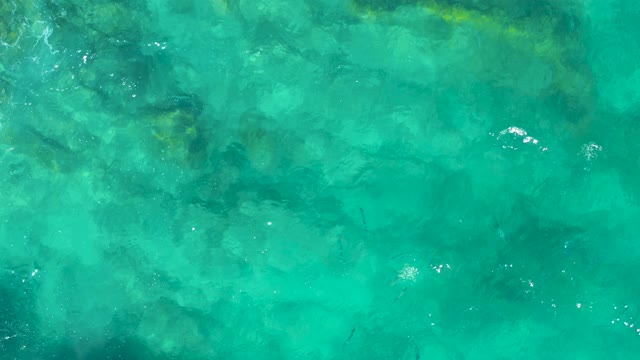 EAST CAPE BCS MEXICO-2020: Small Fish Swimming in Crystal Clear Turquoise Water