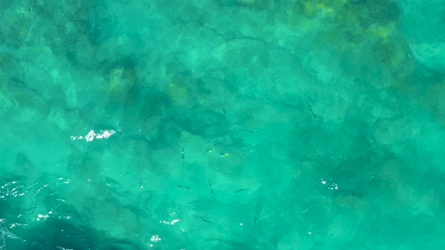 EAST CAPE BCS MEXICO-2020: Shallow Turquoise Water with Fish and Rocky Seabed