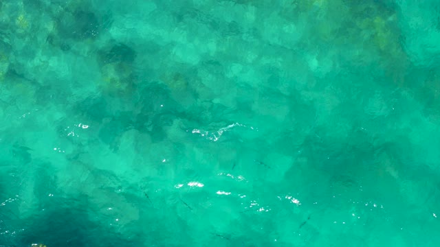 EAST CAPE BCS MEXICO-2020: Clear Turquoise Water with Swimming Fish and Rocky Seabed