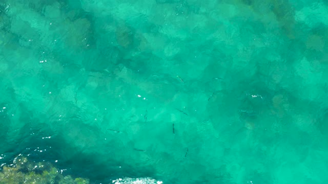 EAST CAPE BCS MEXICO-2020: Clear Turquoise Water with Swimming Fish and Rocks