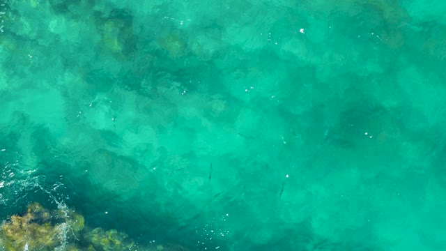 EAST CAPE BCS MEXICO-2020: Shallow Ocean with Visible Seabed and Swimming Fish