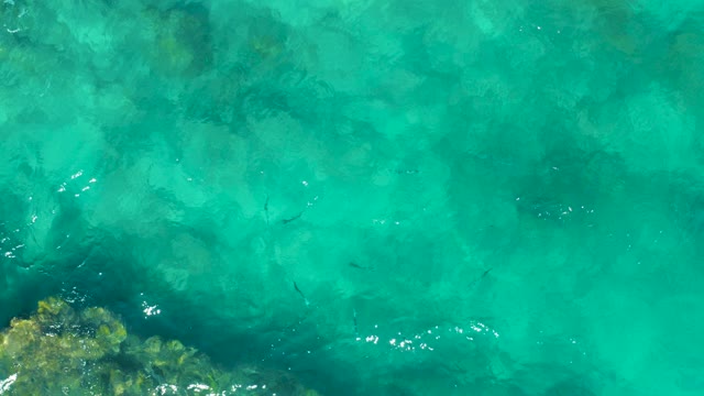 EAST CAPE BCS MEXICO-2020: Small Fish Swimming in Clear Turquoise Water