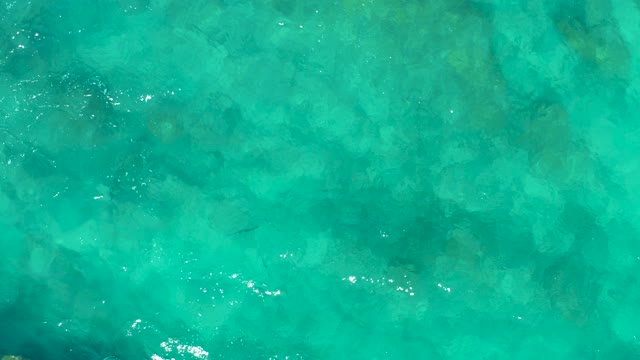 EAST CAPE BCS MEXICO-2020: Clear Turquoise Water with Swimming Fish