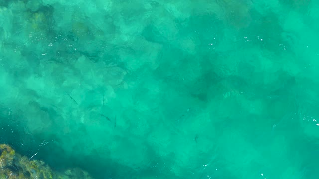 EAST CAPE BCS MEXICO-2020: Clear Turquoise Water with Swimming Fish and Gentle Waves