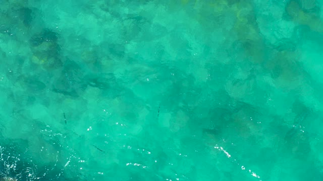 EAST CAPE BCS MEXICO-2020: Small Fish Swimming in Crystal Clear Turquoise Water