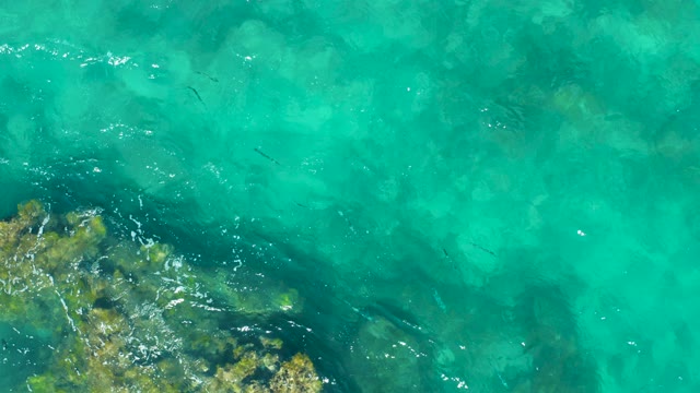 EAST CAPE BCS MEXICO-2020: Clear Turquoise Water with Swimming Fish and Rocky Seabed