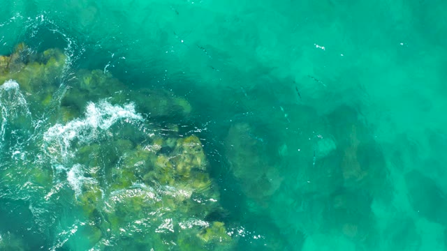 EAST CAPE BCS MEXICO-2020: Clear Turquoise Water Over Rocky Seabed