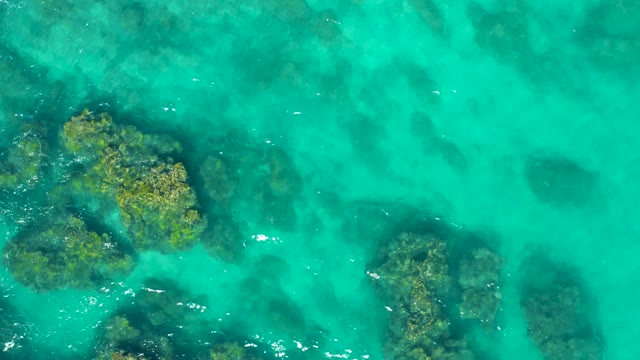EAST CAPE BCS MEXICO-2020: Clear Turquoise Water with Submerged Vegetation