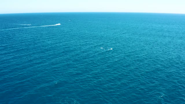 EAST CAPE BCS MEXICO-2020: Marine Animals Surfacing in Open Ocean with Boat