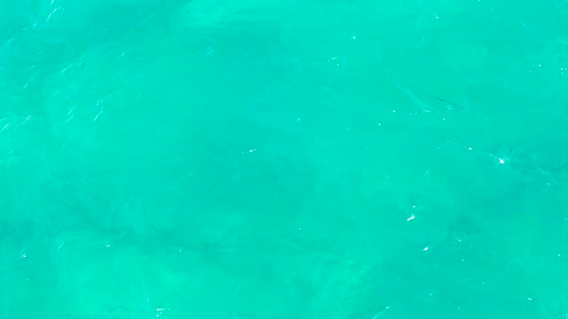 EAST CAPE BCS MEXICO-2020: Gentle Ripples on Clear Turquoise Ocean Water