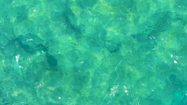EAST CAPE BCS MEXICO-2020: Gentle Ripples on Clear Turquoise Ocean Water