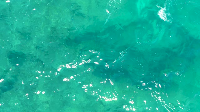 Shimmering Turquoise Ocean Water with Sunlight Reflections