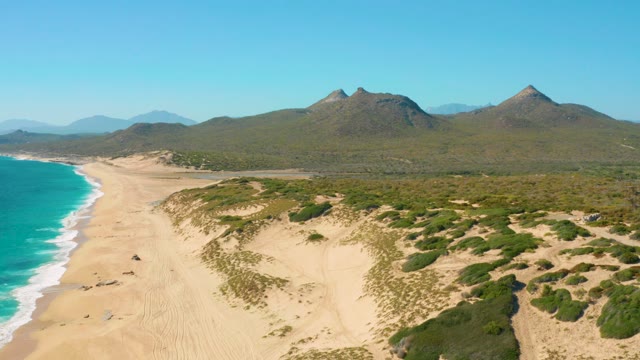 Coastal Dunes and Ocean Waves Along Sandy Shore