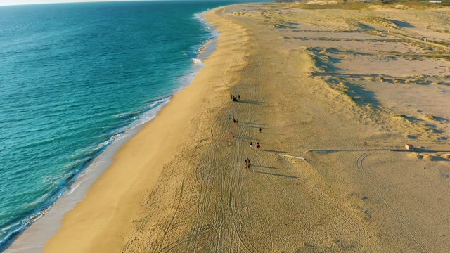 People Walking Along Sandy Shore by Ocean