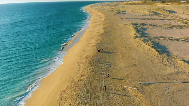 People Walking Along Sandy Beach by Ocean