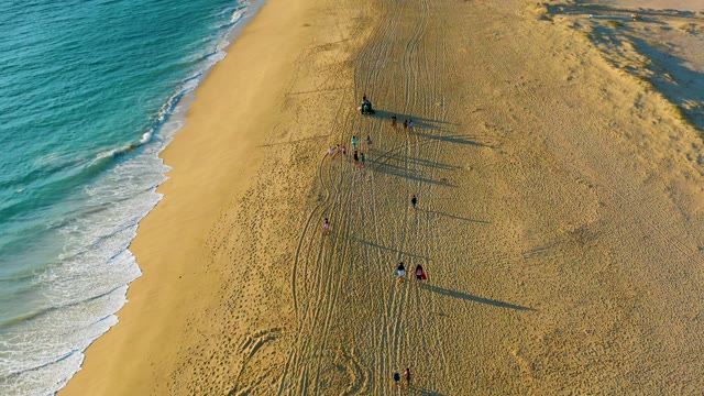 People Walking and Playing on Sandy Beach