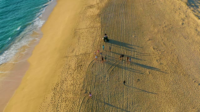 People Walking on a Sandy Beach Shore