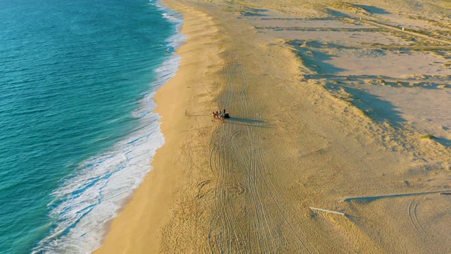 Vehicle Driving on Sandy Oceanfront Beach
