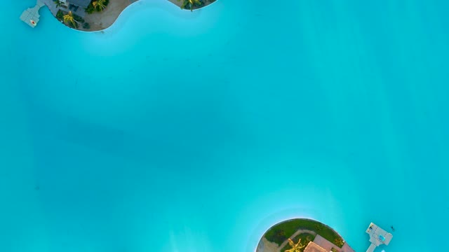 Coastal Resort with Palm Trees and Turquoise Water
