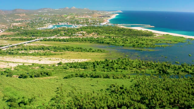 SAN JOSE DEL CABO BCS MEXICO-2020: Sandy Beach and Lush Greenery by Coastal Waters