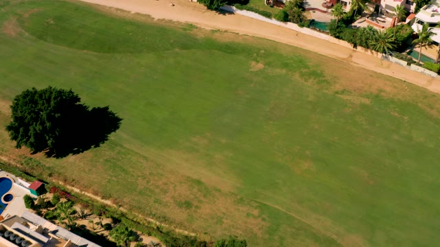 SAN JOSE DEL CABO BCS MEXICO-2020: Aerial Descent over Grassy Field and Lone Tree