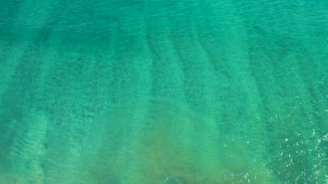 SAN JOSE DEL CABO BCS MEXICO-2020: Clear Turquoise Water Transitioning to Sandy Shoreline