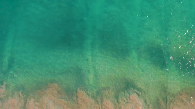 SAN JOSE DEL CABO BCS MEXICO-2020: Clear Turquoise Water Over Sandy Seabed