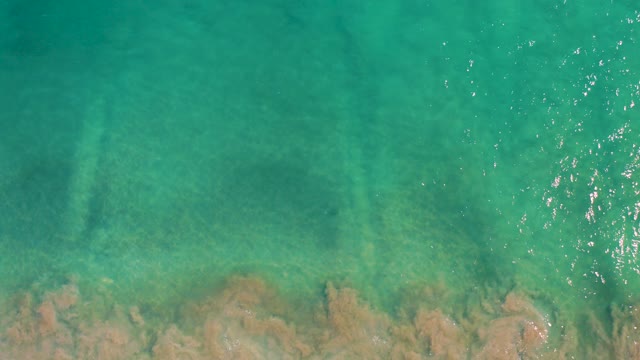 SAN JOSE DEL CABO BCS MEXICO-2020: Clear Turquoise Water Over Rocky Seabed