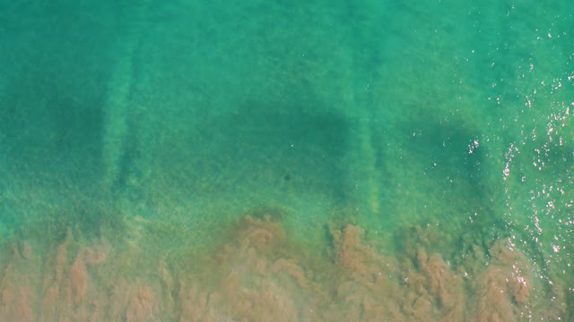 SAN JOSE DEL CABO BCS MEXICO-2020: Clear Turquoise Water Over Sandy Seabed