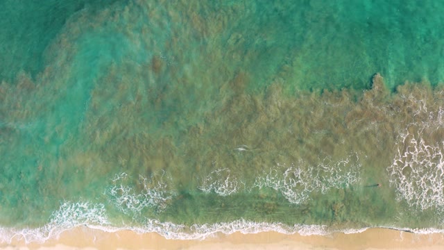 SAN JOSE DEL CABO BCS MEXICO-2020: Sandy Beach with Rolling Ocean Waves