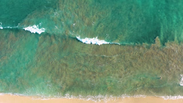 SAN JOSE DEL CABO BCS MEXICO-2020: Waves Rolling Toward Sandy Shore From Above