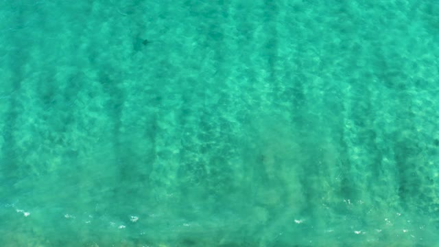 SAN JOSE DEL CABO BCS MEXICO-2020: Clear Turquoise Water with Swimming Fish