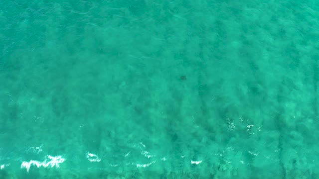 SAN JOSE DEL CABO BCS MEXICO-2020: Gentle Waves Moving Across Clear Turquoise Ocean Water