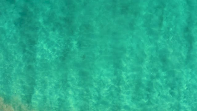 SAN JOSE DEL CABO BCS MEXICO-2020: Clear Shallow Turquoise Water with Gentle Ripples and Fish