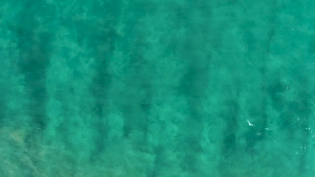 SAN JOSE DEL CABO BCS MEXICO-2020: Shifting Tree Shadows on Clear Ocean Water