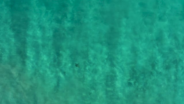 SAN JOSE DEL CABO BCS MEXICO-2020: Shifting Turquoise Water with Visible Seabed Patterns