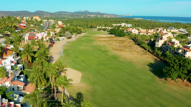 SAN JOSE DEL CABO BCS MEXICO-2020: Golf Course with Shifting Palm Tree Shadows