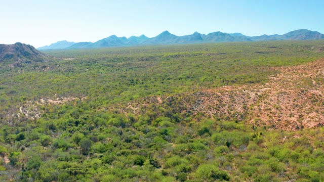 CABO PULMO BCS MEXICO-2020: Green Valley and Distant Mountain Ranges