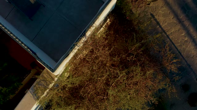 LORETO BCS MEXICO-2020: Tree and Building in Descending Aerial Shot