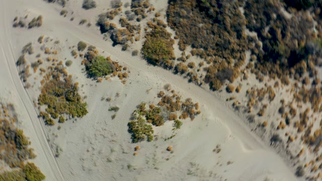 JUNCALITO BCS MEXICO-2020: Sandy Dunes Transitioning to Ocean View