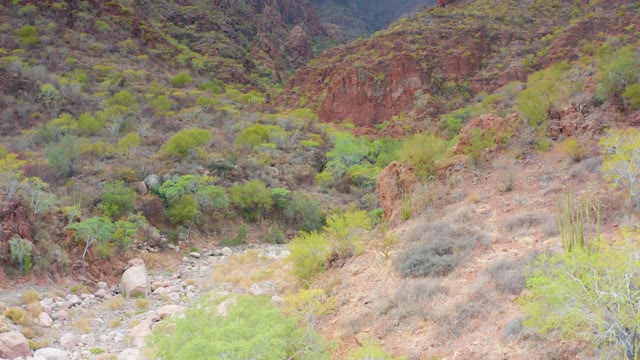 PUERTO ESCONDIDO BCS MEXICO-2020: Arid Valley with Rocky Terrain and Green Shrubs