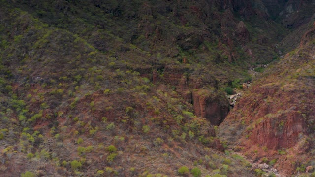 PUERTO ESCONDIDO BCS MEXICO-2020: Rugged Canyon Valley with River and Vegetation
