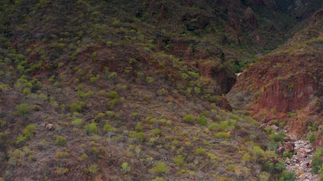 PUERTO ESCONDIDO BCS MEXICO-2020: Rocky Hillside Shifting to Overhead Road View
