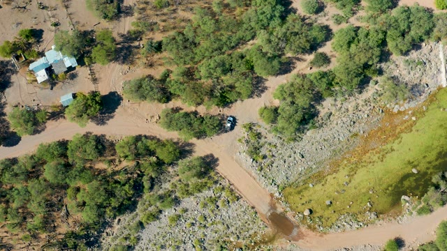SAN JAVIER BCS MEXICO-2020: Floodwater Receding in a Tree-Lined Residential Area